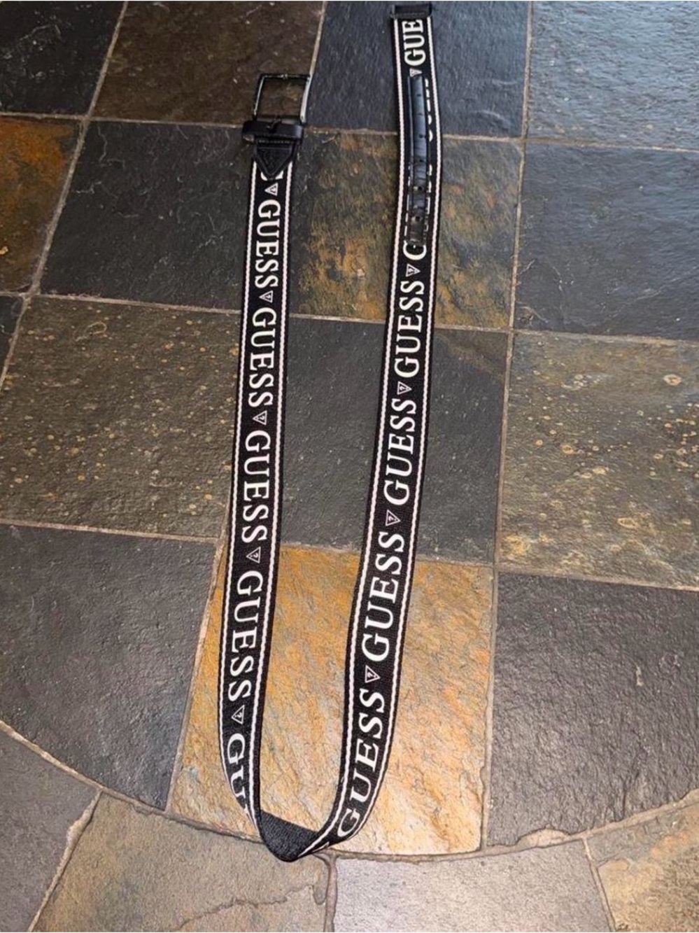 GUESS Black Webbing Belt with White Logo Trim
